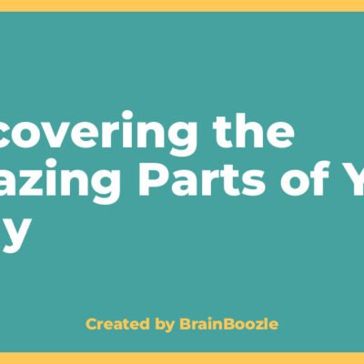 Discovering the Amazing Parts of Your Body - BrainBoozle Educational Resource