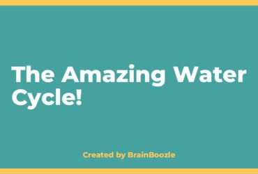 The Amazing Water Cycle! - Created by BrainBoozle The Amazing Water Cycle! - BrainBoozle Educational Resource