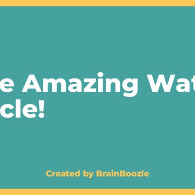 The Amazing Water Cycle! - BrainBoozle Educational Resource