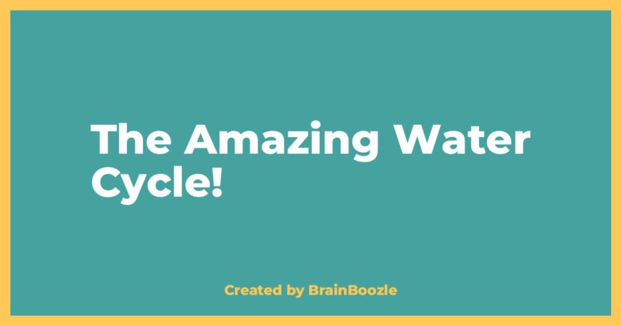 The Amazing Water Cycle! - BrainBoozle Educational Resource